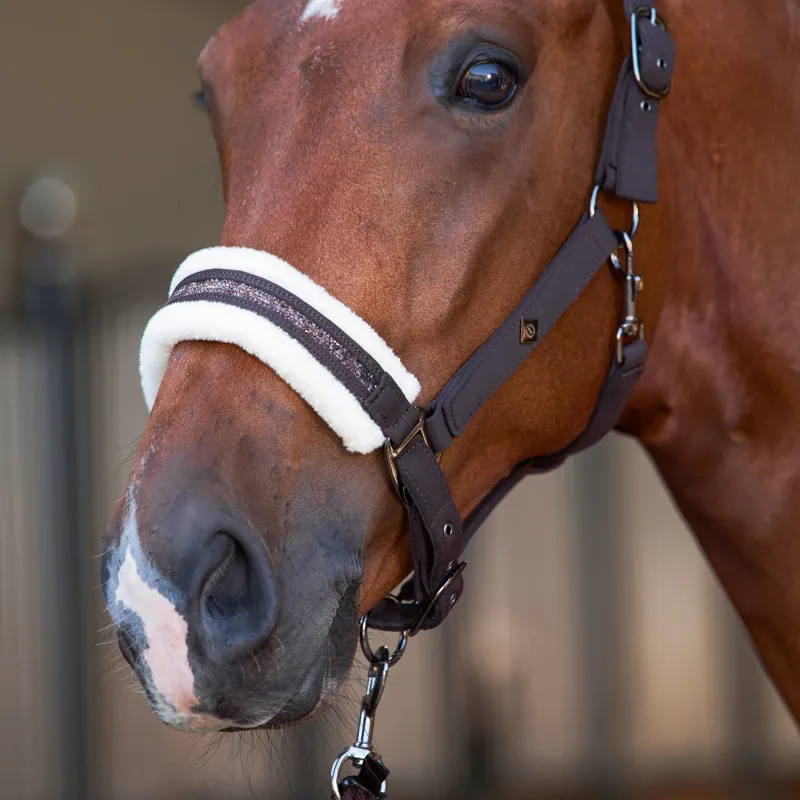 Imperial Riding Jewel Headcollar - Chocolate-2