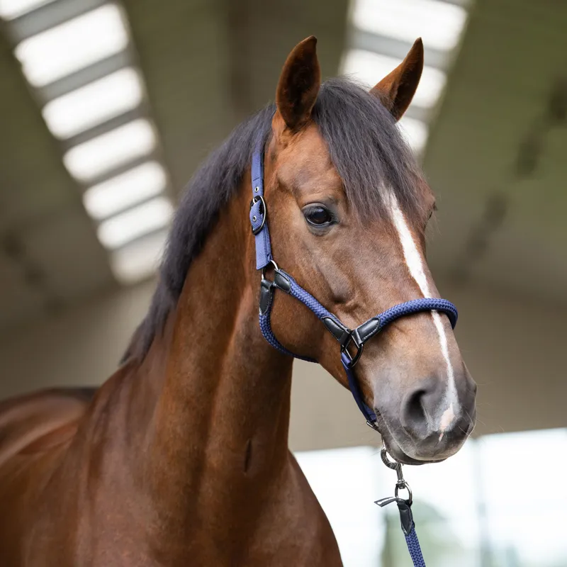 Imperial Riding Laura Headcollar - Navy