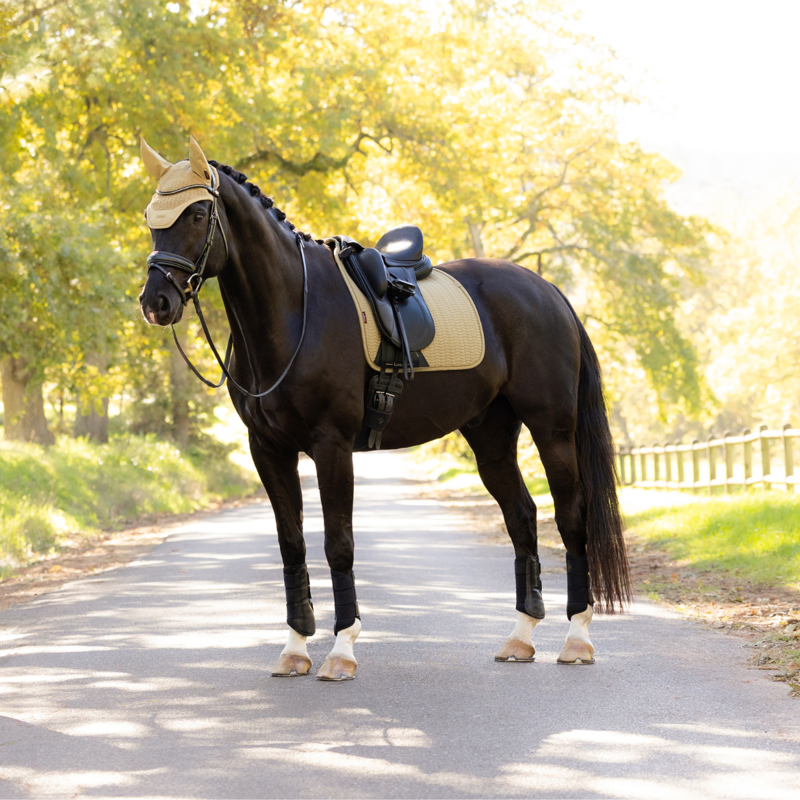 LeMieux Essence Dressage Square - Pear-6