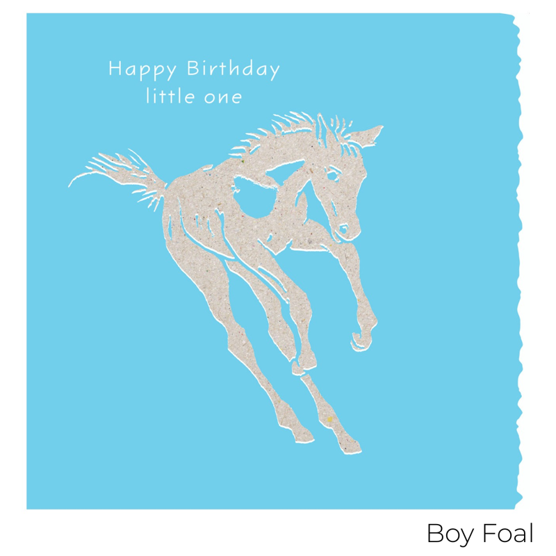 Deckled Edge Colour Block Pony Card-7