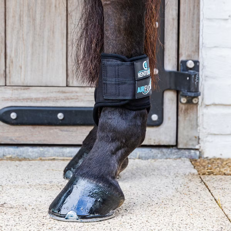 Kentucky Eventing Boots 3D Air Flow Skin Friend Hind Short - Black-6