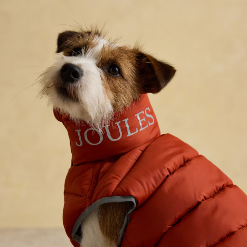 Joules Moorsdale Reversible Dog Puffer Coat - Ketchup-6