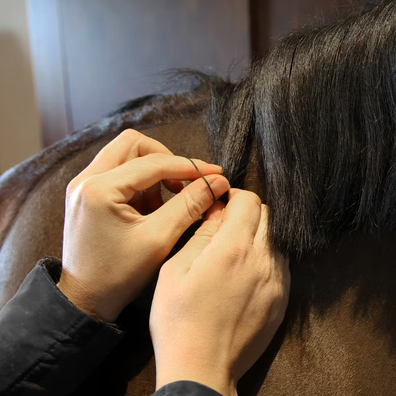 Grooming Deluxe Rubber Plaiting Bands-6