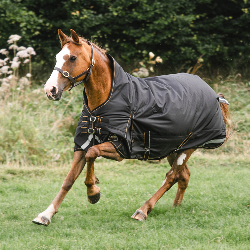 Mackey Lugnaquilla Half Neck Heavyweight Turnout Rug - Black/Gold