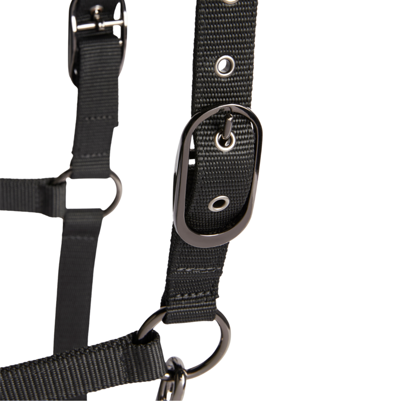 Tommy Hilfiger Yale Shine Headcollar and Rope Set - Black-4