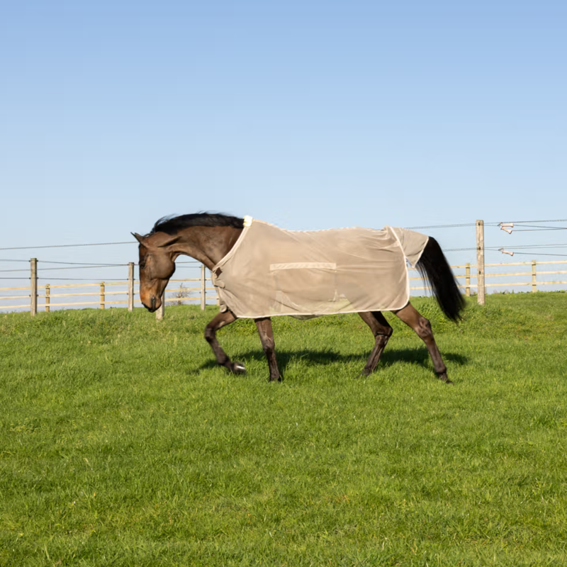 Kentucky Fly Rug with Belly Cover Comfort - Beige-6