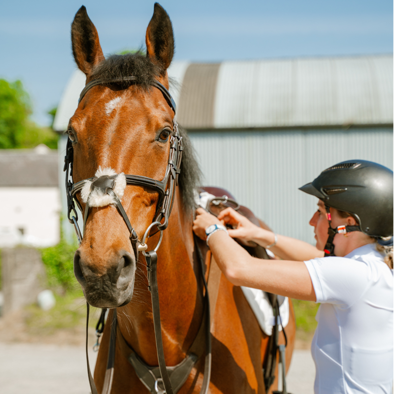 Cameo ComfortPro Grackle Bridle with Rubber Grip Reins - Black-4