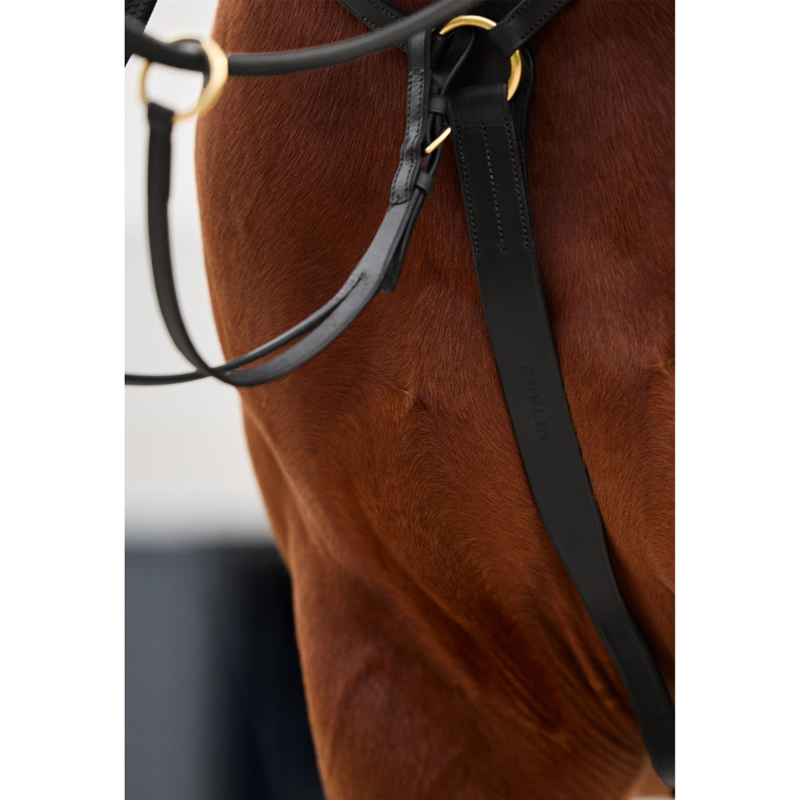 Dublin 3-Point Breastplate - Black-6