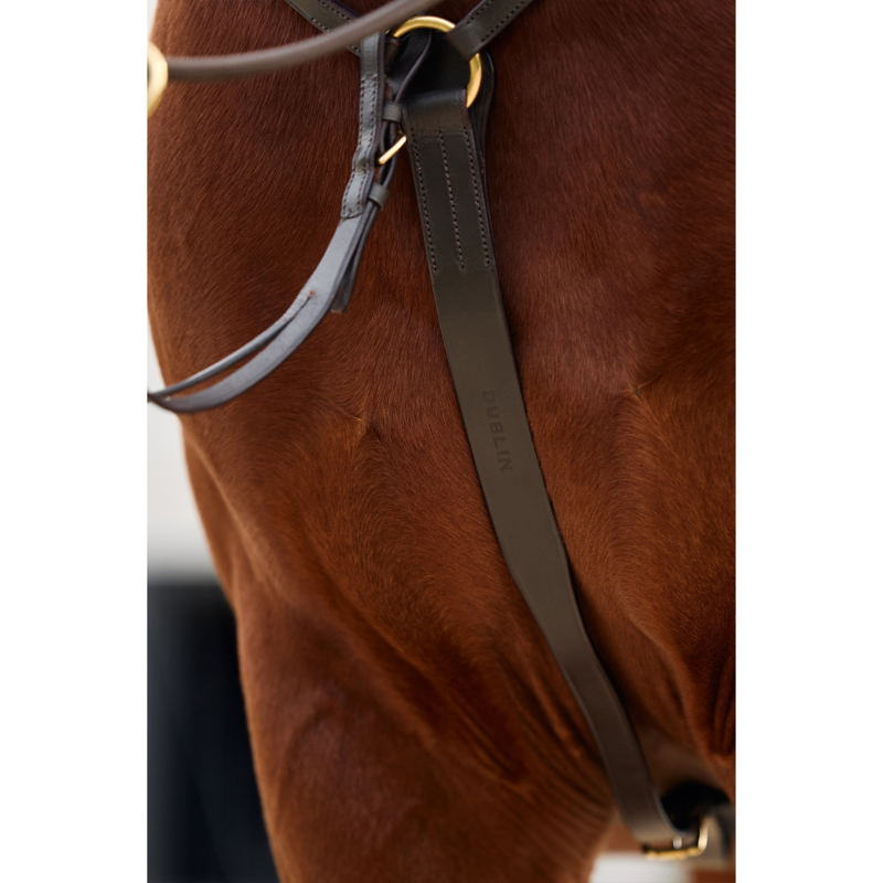 Dublin 3-Point Breastplate - Brown-6