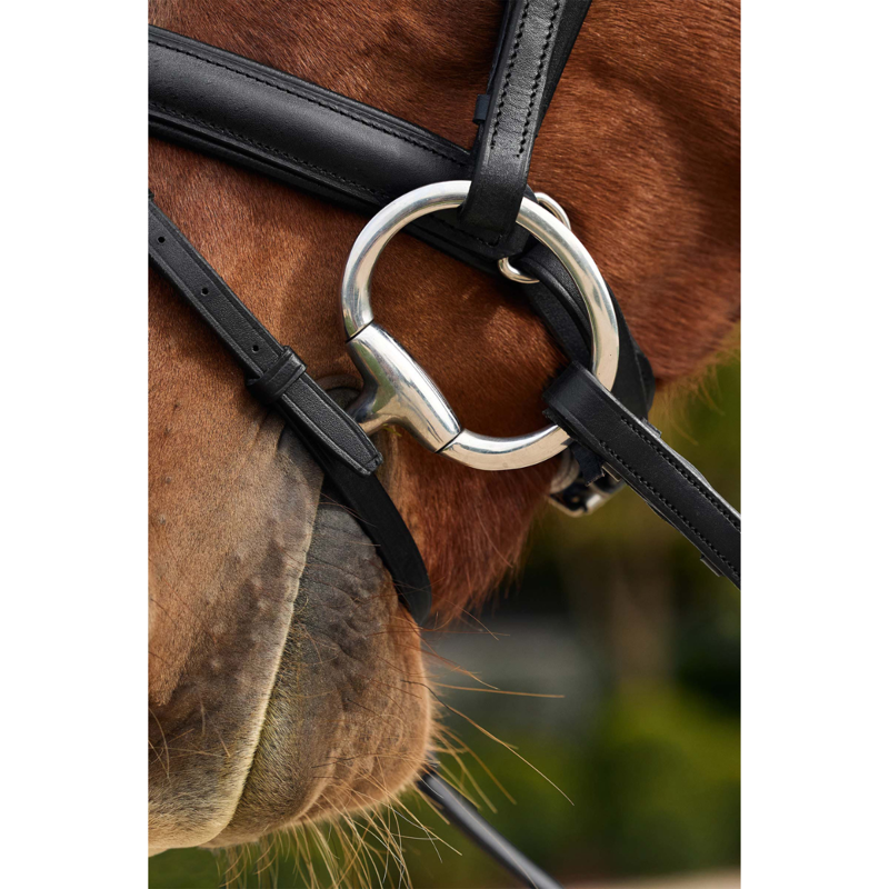 Dublin Pastel Rainbow Reins - Black/Multi-5