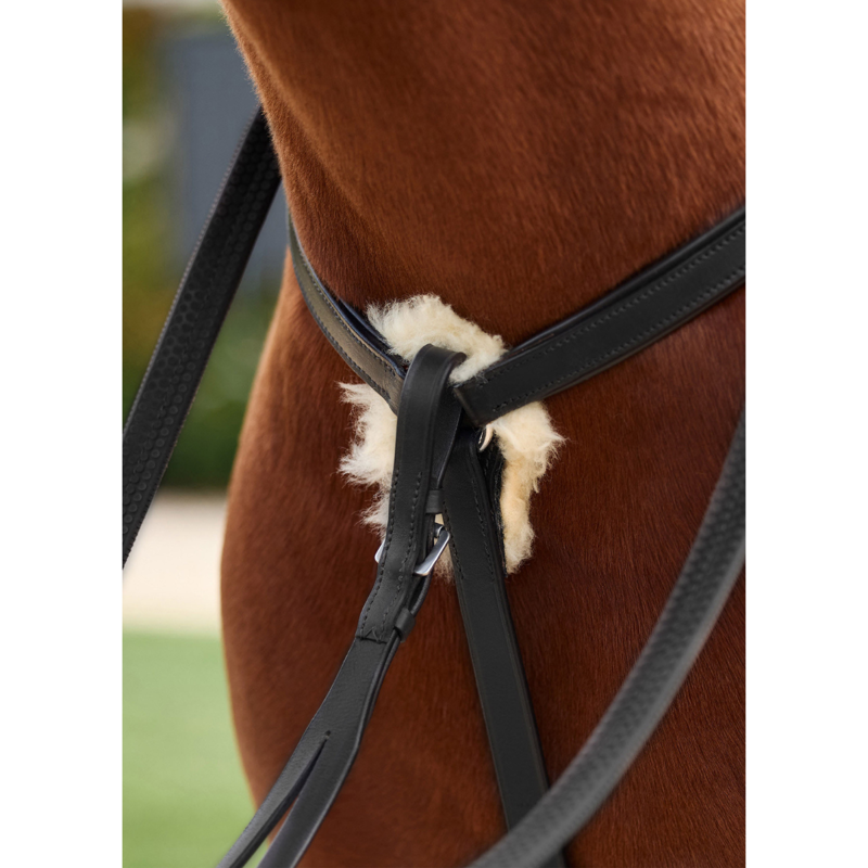 Dublin 5-Point Event Breastplate - Black-6