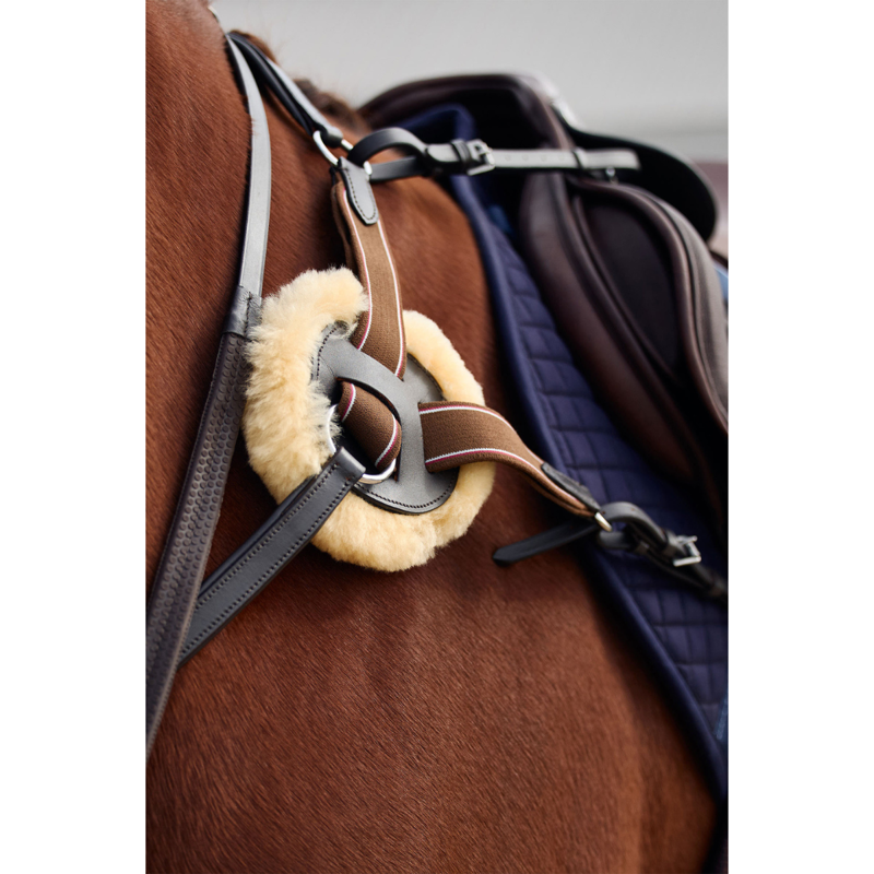 Dublin 5-Point Event Breastplate - Brown-6