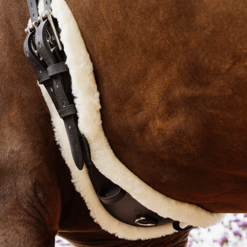 Kentucky Sheepskin Anatomic Short Girth - Black-6