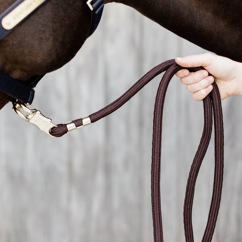 Kentucky Panic Hook Leadrope-6