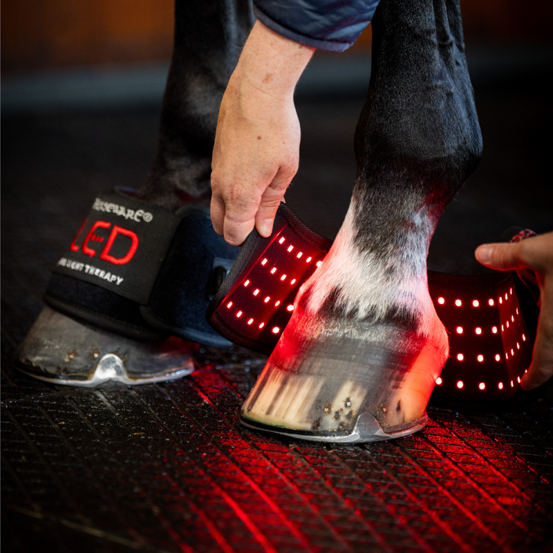 Horseware LED Red Light Therapy Mini Wraps Pair - Black/Black-7