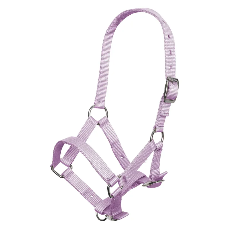 Imperial Riding Foal Headcollar - Wisteria