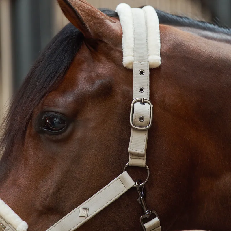 Imperial Riding Jewel Headcollar - Taupe-2