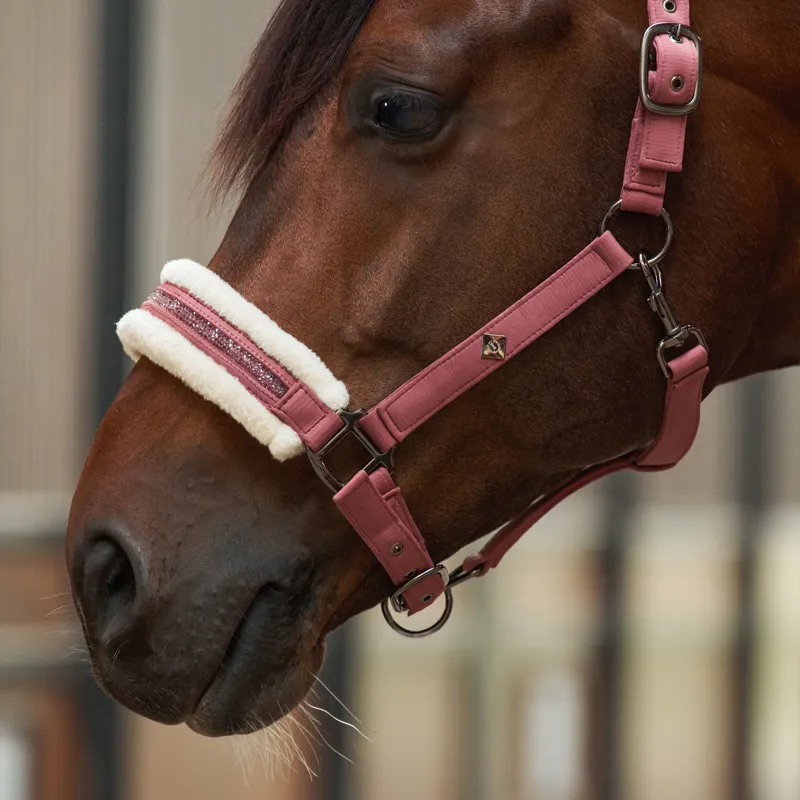 Imperial Riding Jewel Headcollar - Mauve-3