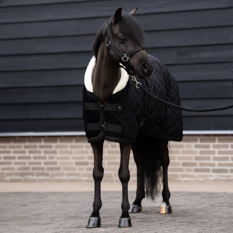 Imperial Riding Bandit Show Rug - Black-1
