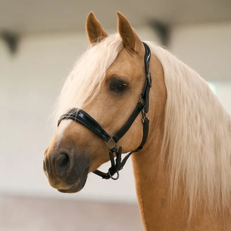 Imperial Riding Hera Headcollar - Black-1