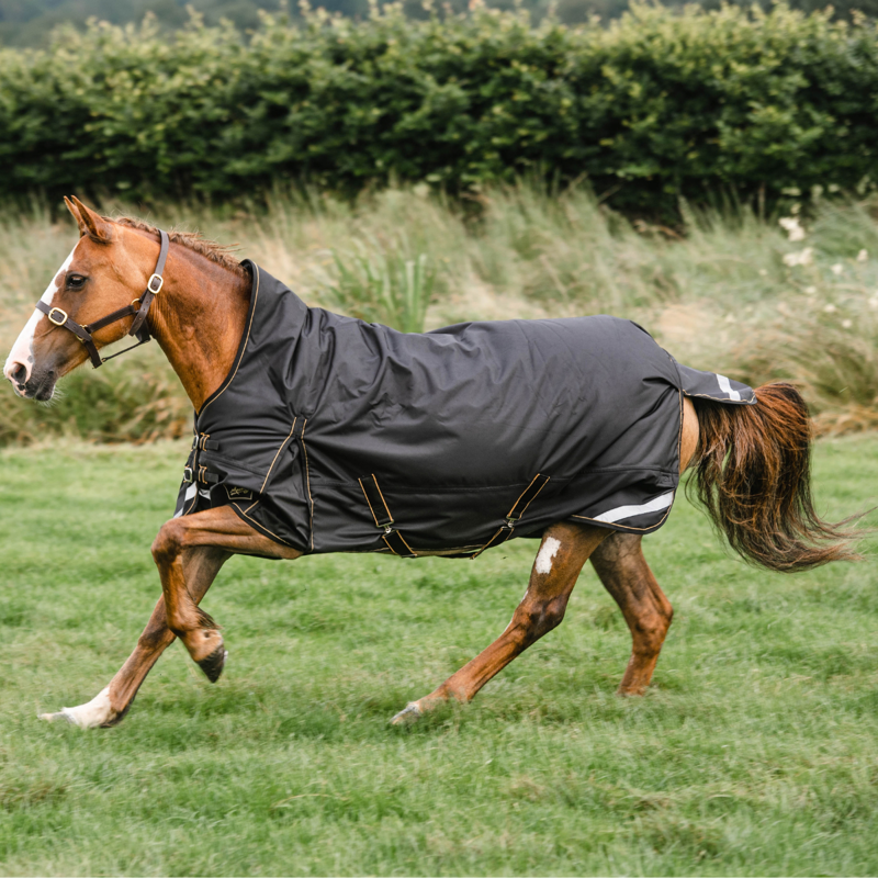 Mackey Lugnaquilla Half Neck Heavyweight Turnout Rug - Black/Gold-1