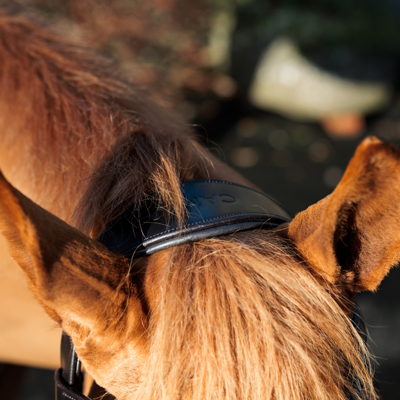 Cameo ComfortPro Grackle Bridle with Rubber Grip Reins - Black-5