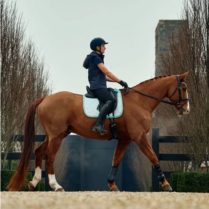 WeatherBeeta Velvet Dressage Saddlepad - Blue-7