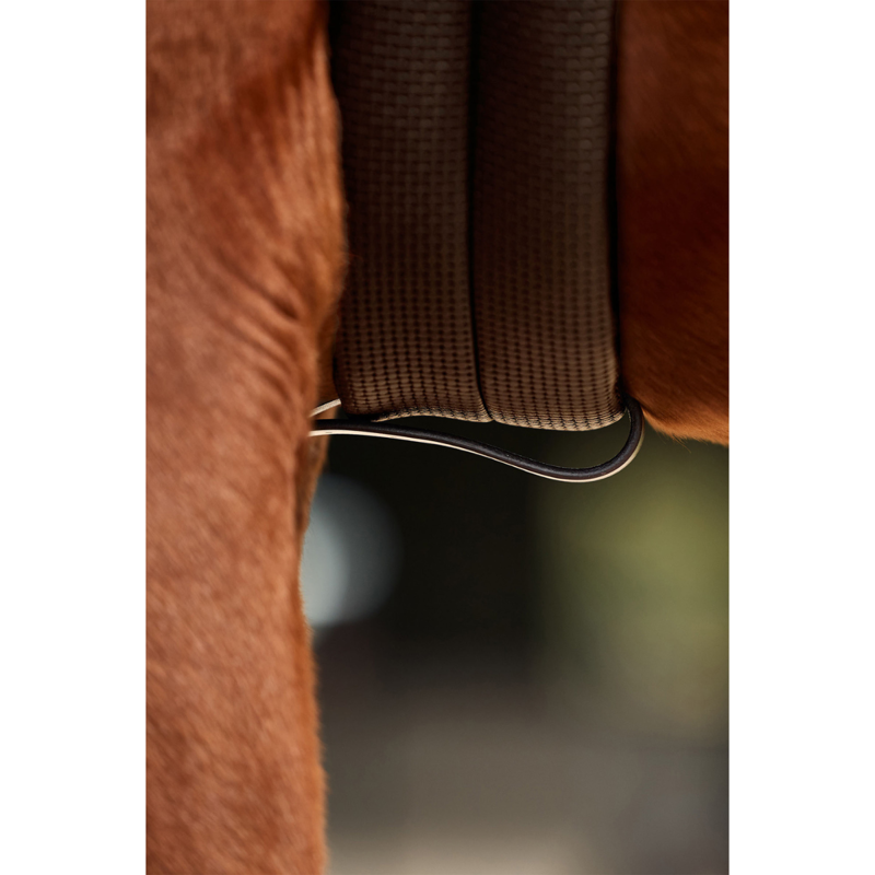 Dublin 3-Point Breastplate - Brown-7