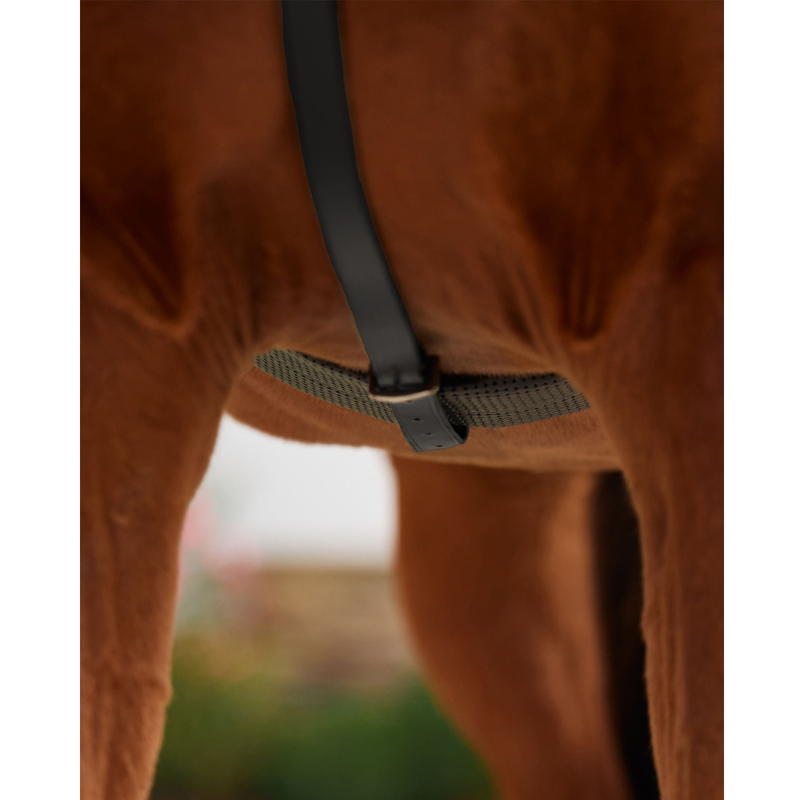 Dublin 5-Point Event Breastplate - Black-7