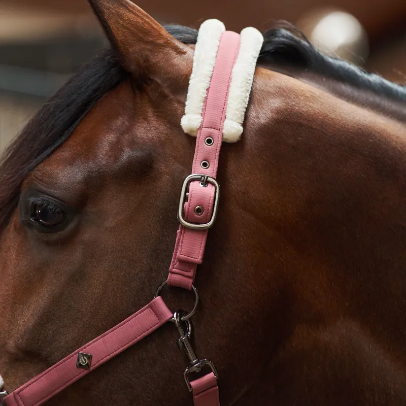 Imperial Riding Jewel Headcollar - Mauve-2