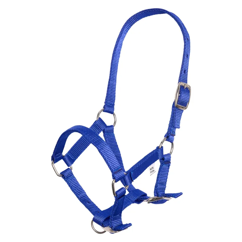 Imperial Riding Foal Headcollar - Dark Blue