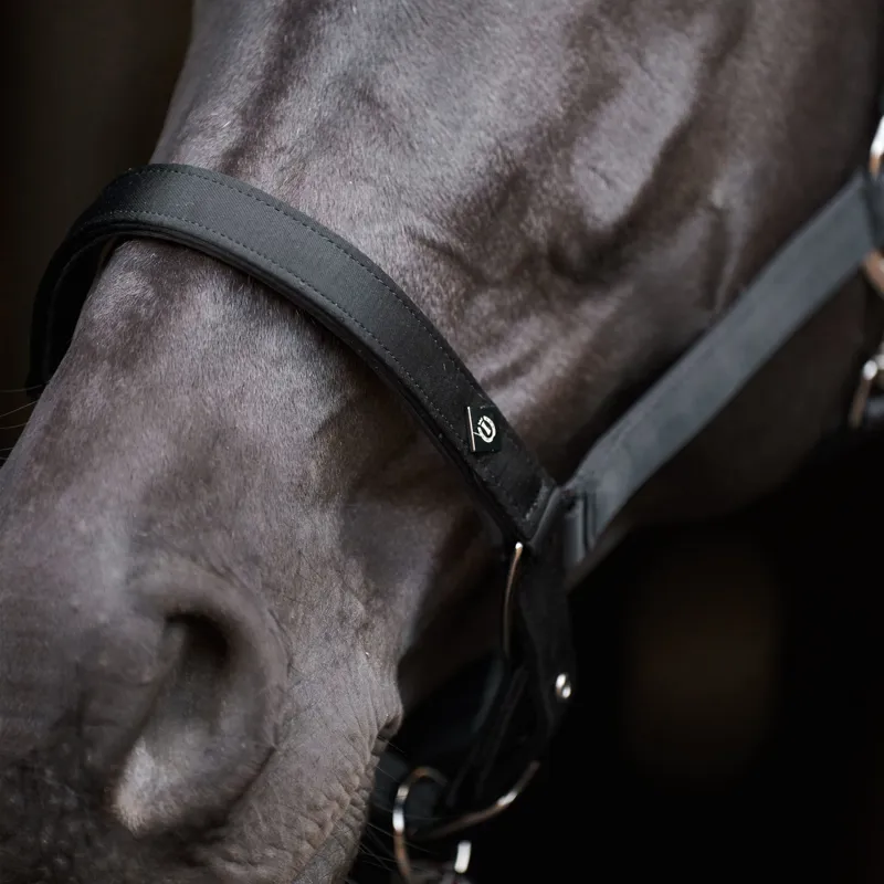 Imperial Riding Rebel Headcollar - Black-2