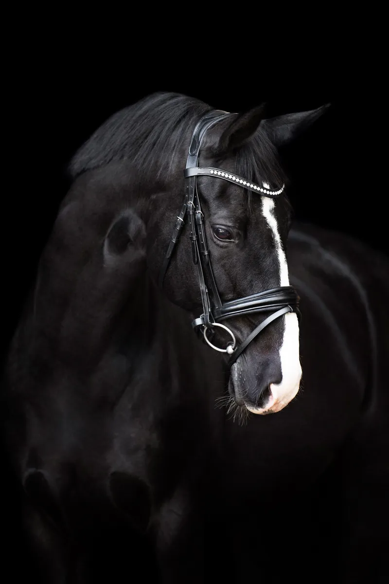 Imperial Riding Fria Bridle - Black-1