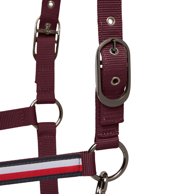 Tommy Hilfiger Yale Headcollar and Rope Set - Deep Burgundy-9