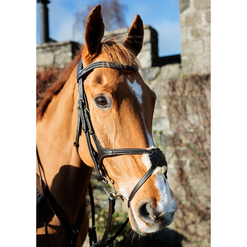 Cameo ComfortPro Grackle Bridle with Rubber Grip Reins - Black-1