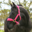 Equilibrium Stellar Style Headcollar - Pink