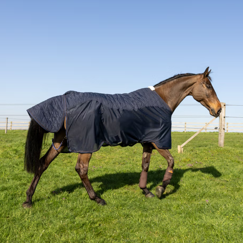 Kentucky Transport Combo Fleece Cooler - Navy-1