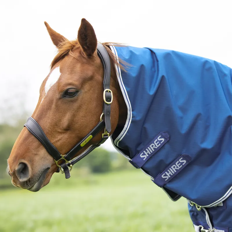 Shires Highlander Original 200 Turnout Neck Cover - Blue-1