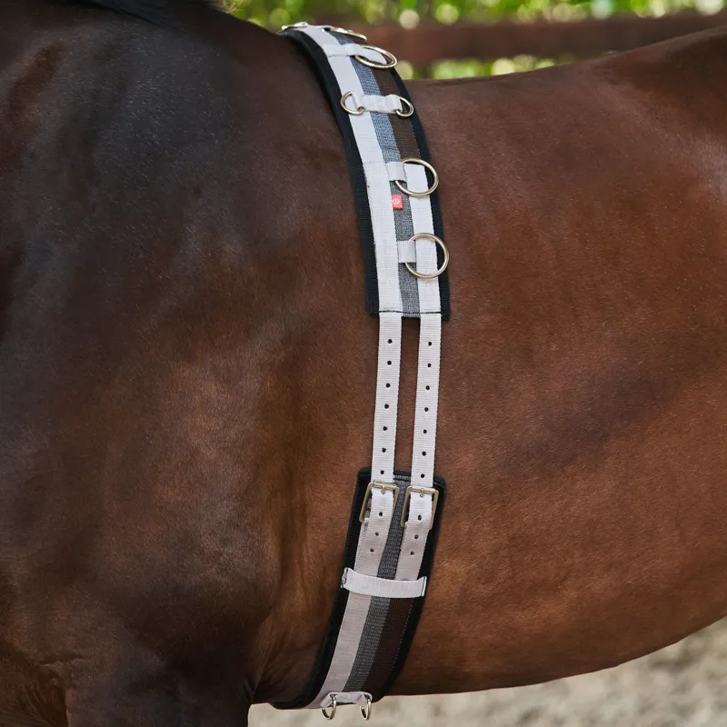 Imperial Riding Deluxe Extra Lunging Girth - Taupe Multi-1