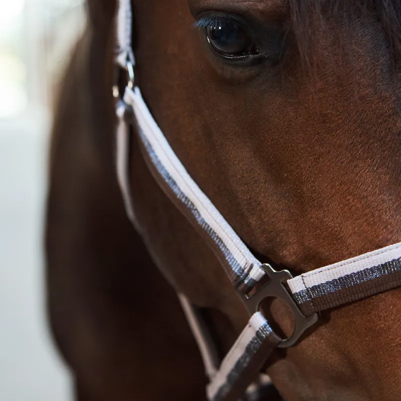 Imperial Riding Economic Headcollar - Taupe Multi-2