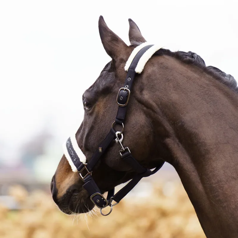 Imperial Riding Jewel Headcollar - Black-2