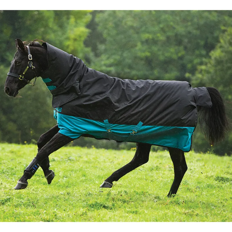 Horseware Amigo Mio All-In-One Medium Turnout Rug - Black/Turquoise/Black