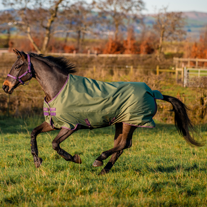 Horseware Amigo Hero Ripstop Original 0g Turnout Rug - Bramble/Winterberry Taupe-1