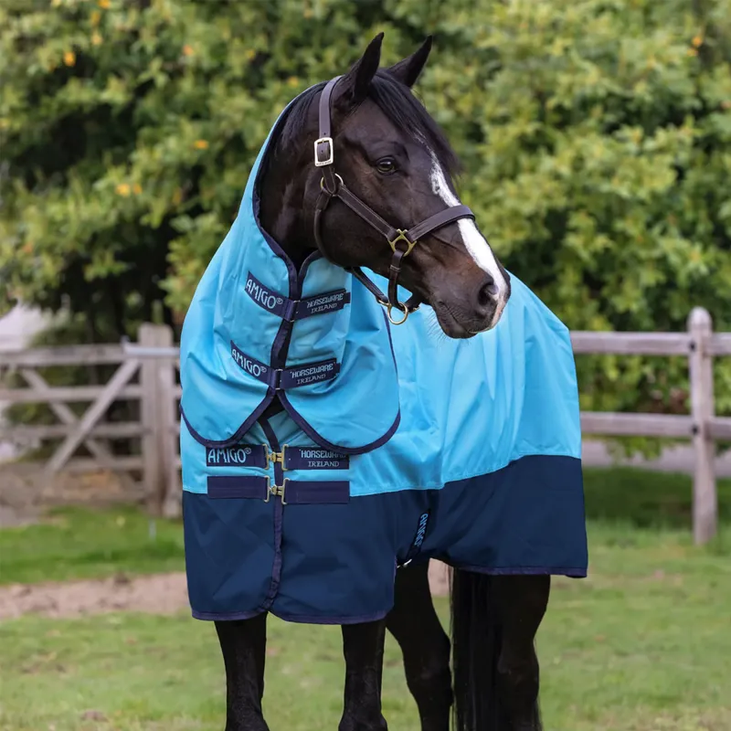 Horseware Amigo Hero Ripstop Plus 100g Limited Edition Turnout Rug - Delphinium Blue/Navy