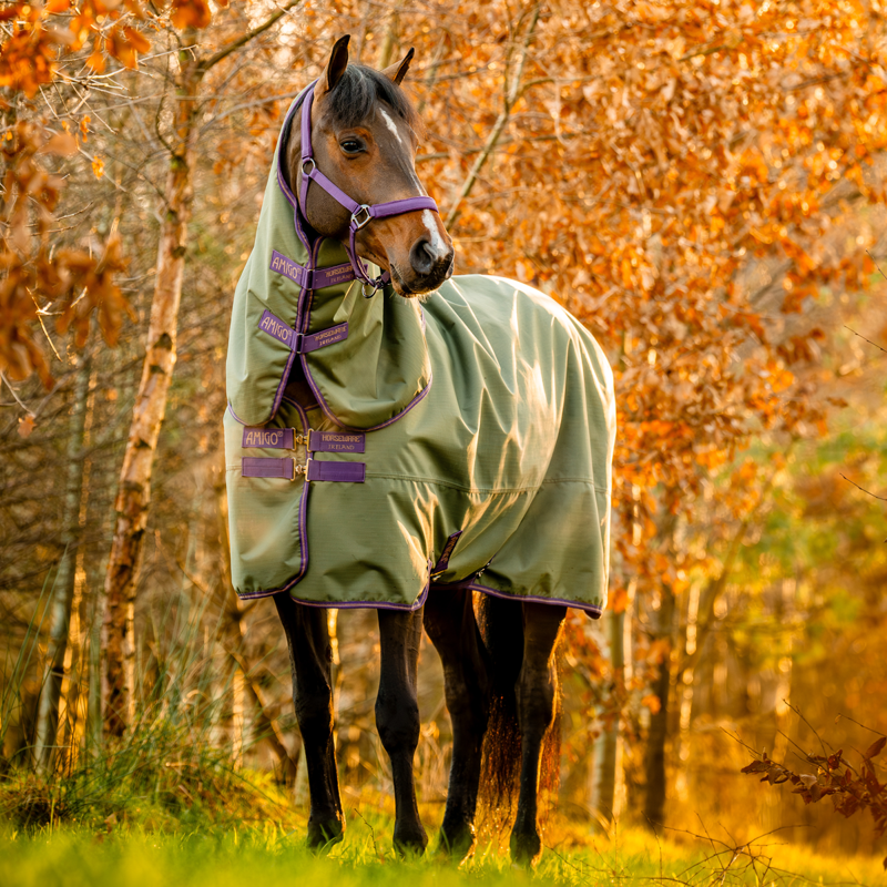 Horseware Amigo Hero Ripstop Plus Lite 0g Turnout Rug - Bramble/Winterberry/Taupe-2