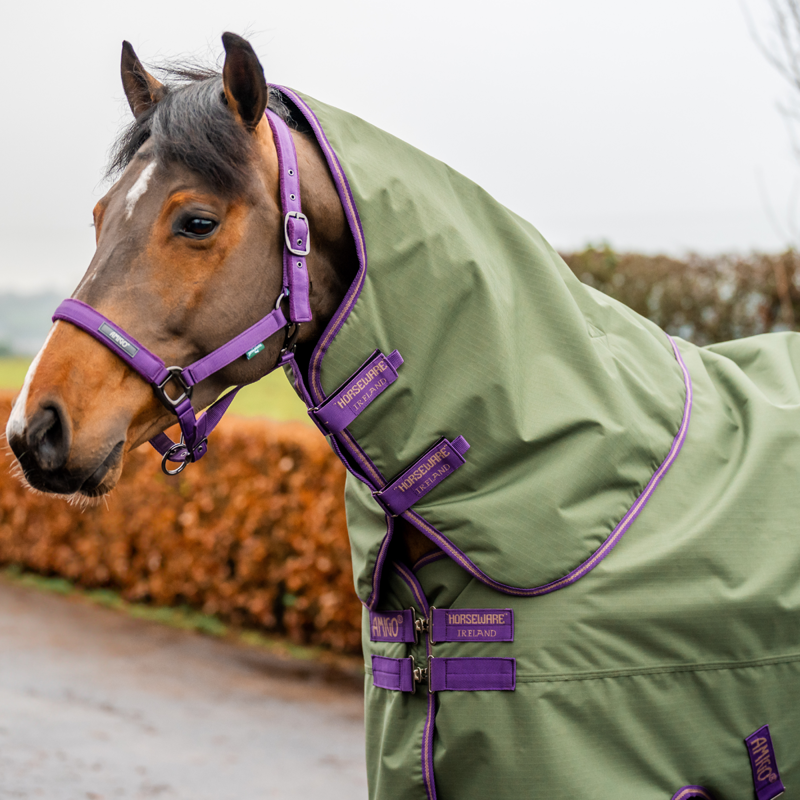 Horseware Amigo Hero Ripstop Plus Lite 0g Turnout Rug - Bramble/Winterberry/Taupe-5