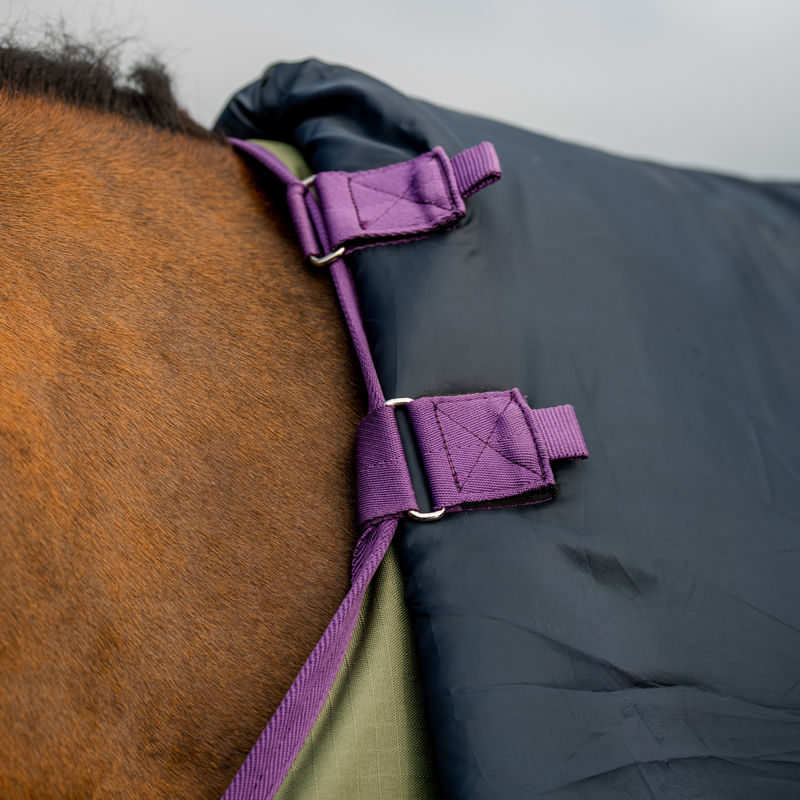 Horseware Amigo Hero Ripstop Plus Medium 200g Turnout Rug - Bramble/Winterberry Navy-4