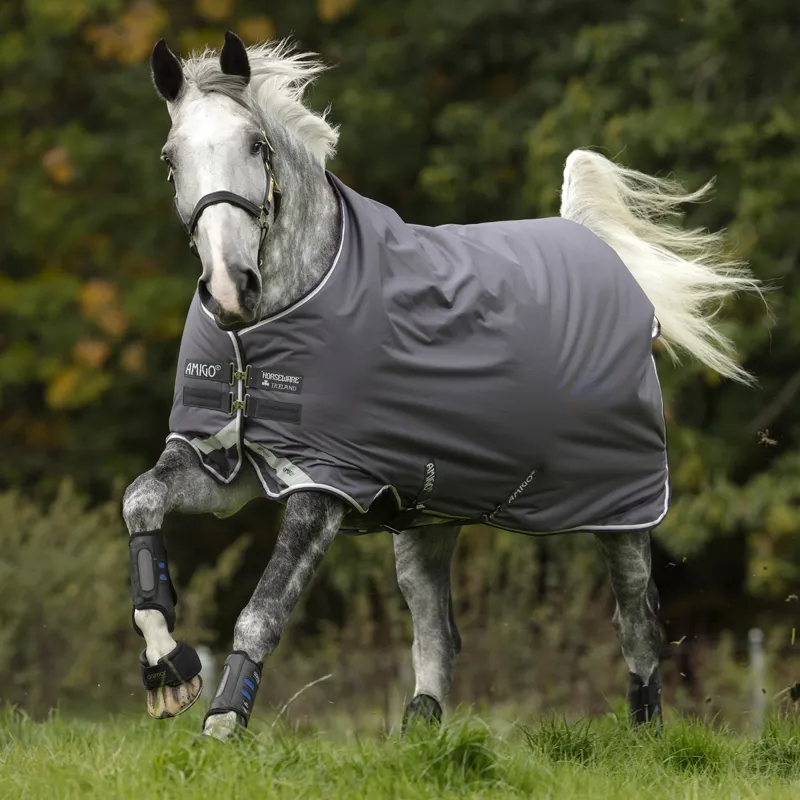 Amigo Bravo 12 Mediumweight Turnout Rug - Excal/Plum/White/Silver