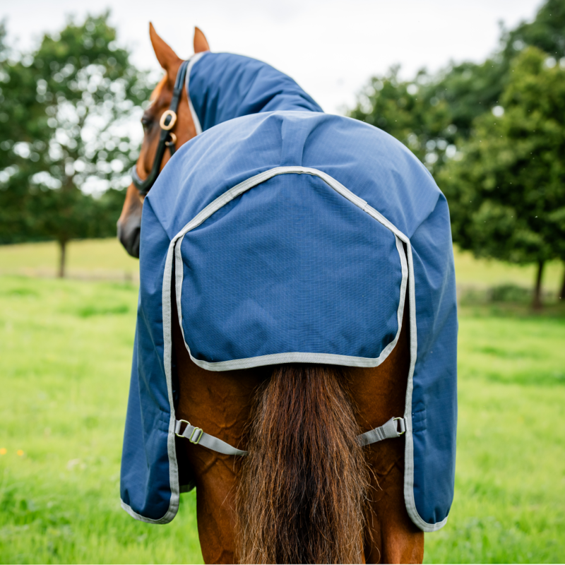 Horseware Amigo Ripstop 900 Plus 200g Turnout Rug - Navy/Titanium Grey-7