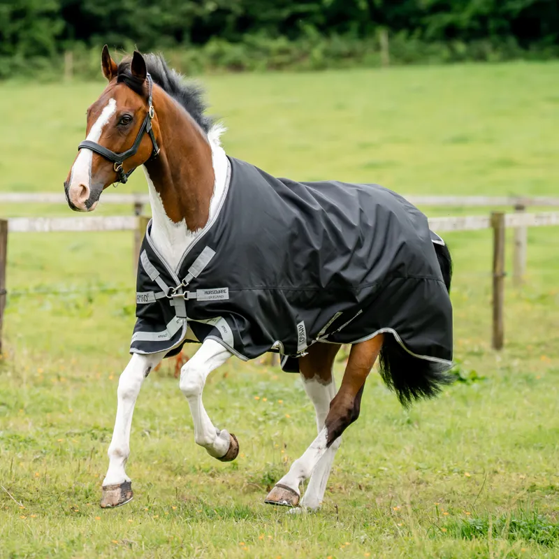 Horseware Amigo Bravo 12 XL Original Lite 0g Turnout Rug - Black/Titanium Grey Silver